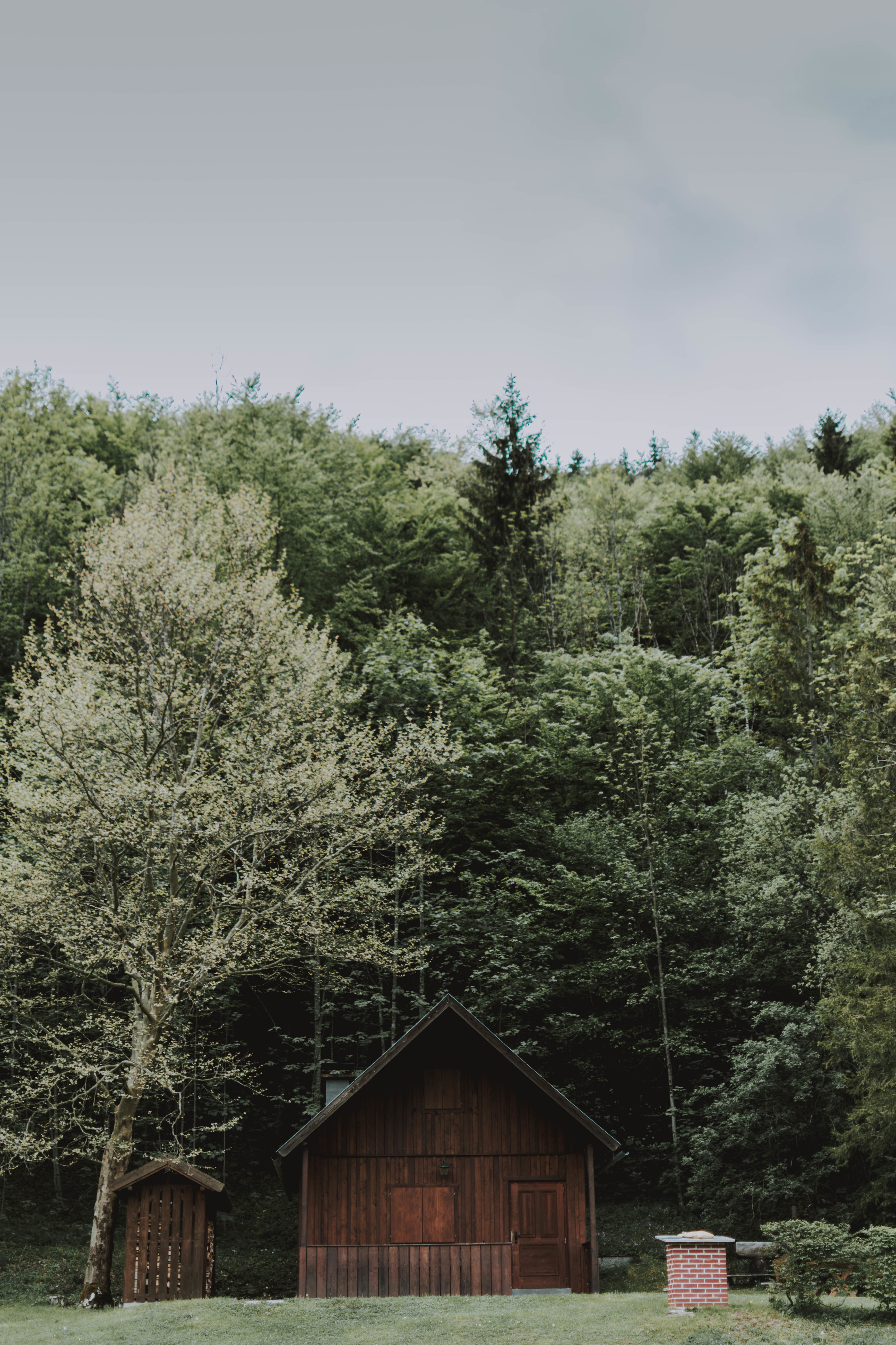 Wooden barn surrounded by trees on a cloudy day